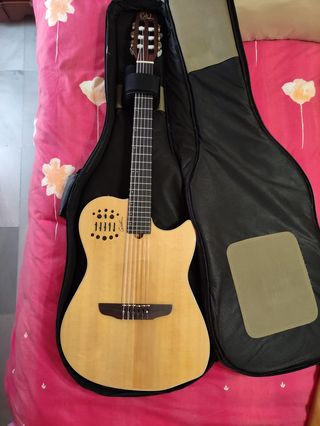 Guitarra Godin de segunda mano por 1.300 EUR en Málaga en WALLAPOP