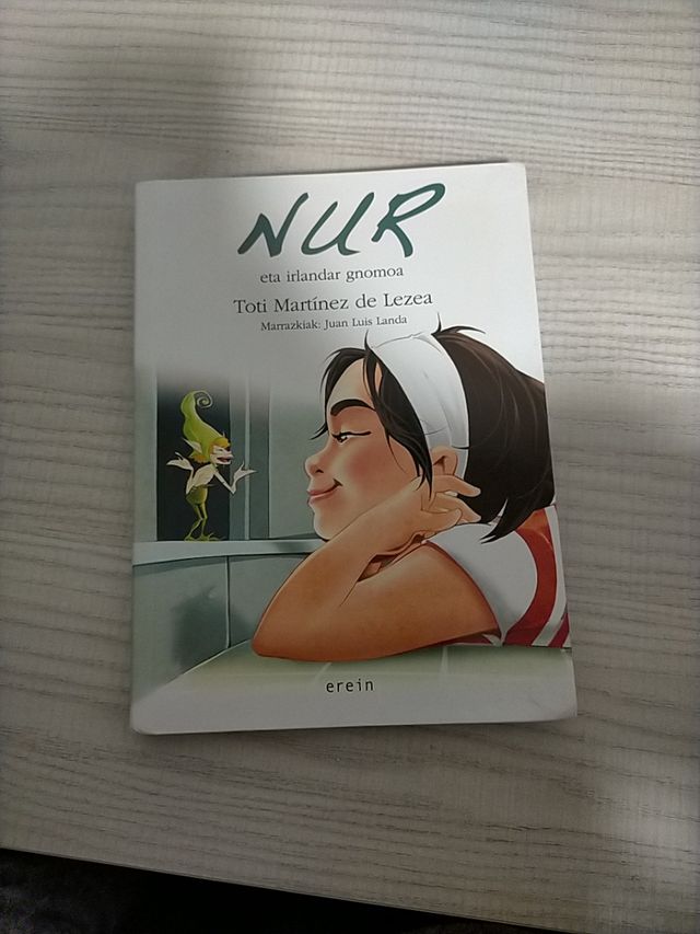 Nur eta irlandar gnomoa