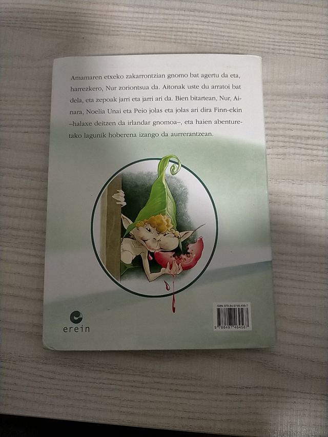 Nur eta irlandar gnomoa