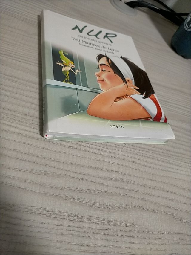 Nur eta irlandar gnomoa