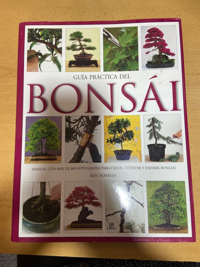 Guía práctica del bonsai