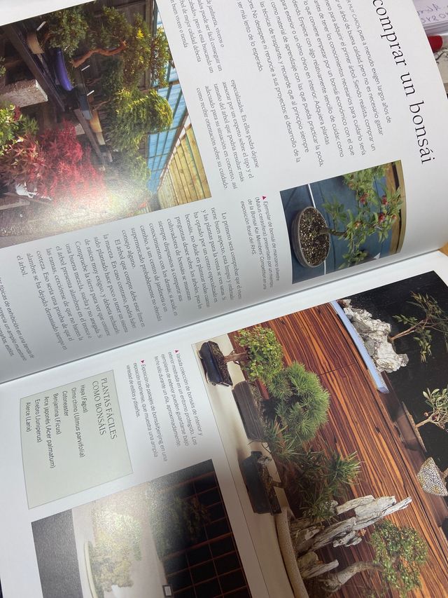 Guía práctica del bonsai