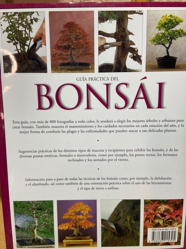 Guía práctica del bonsai