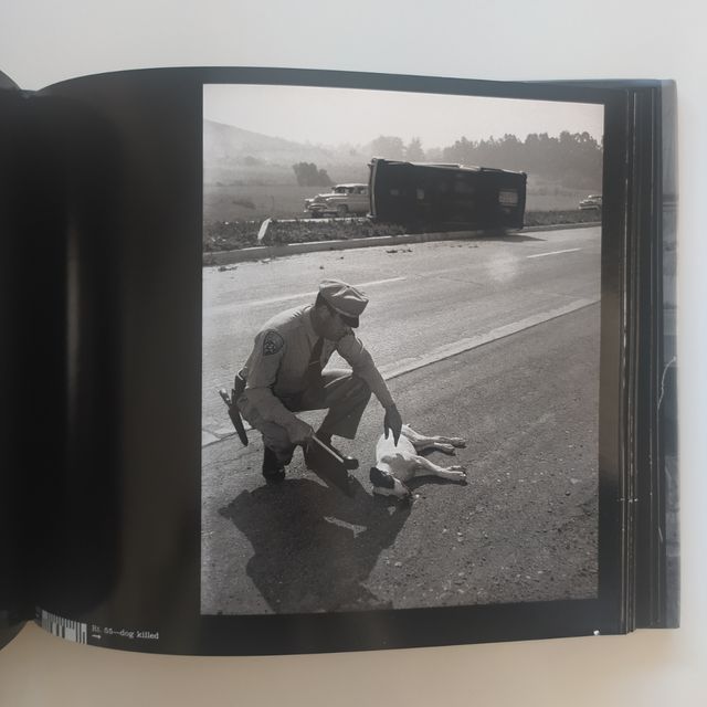 Car Crashes - Mell Kilpatrick