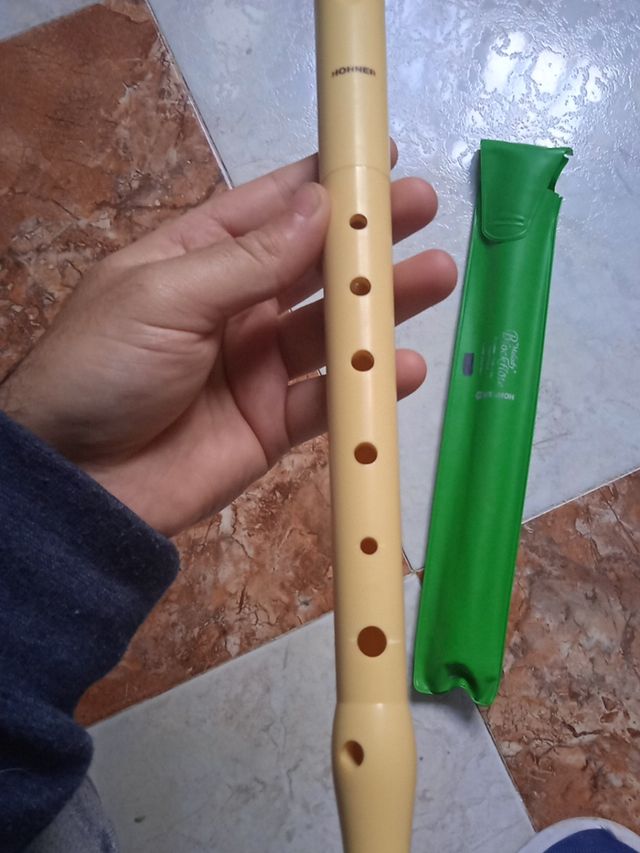 Flauta Hohner