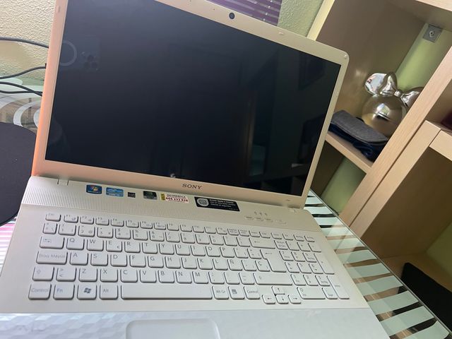 Sony Vaio PCG91211M