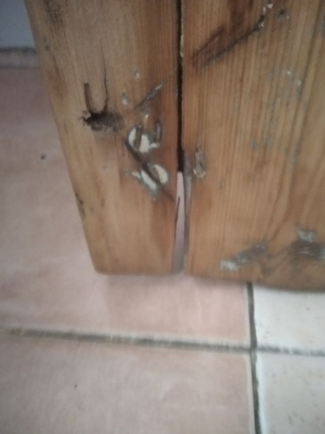 puerta de cuadra antigua totalmente restarurada