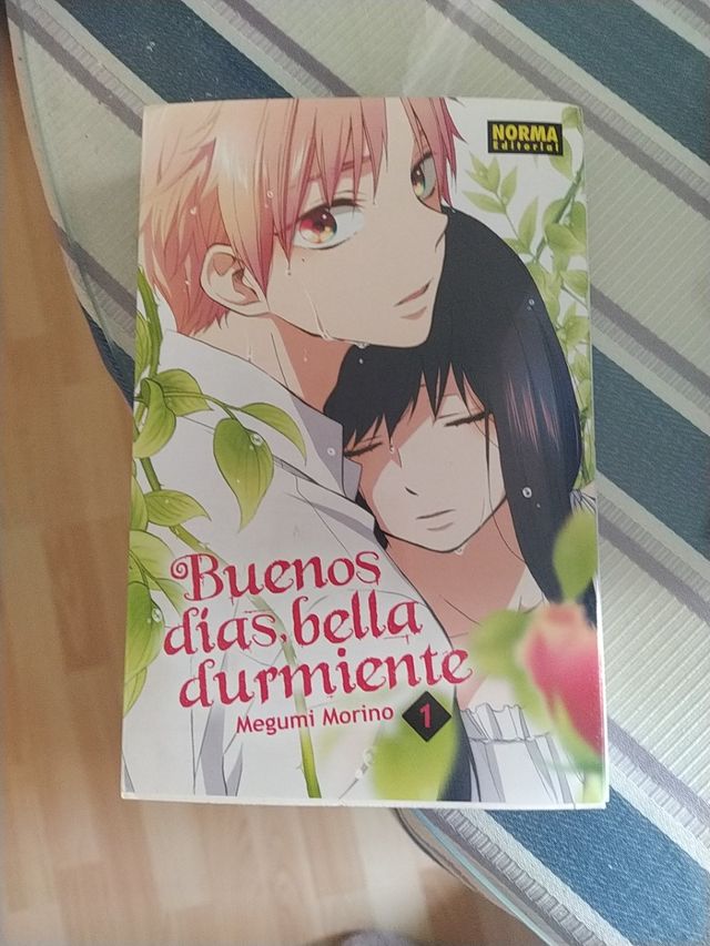 Buenos días bella durmiente Tomo 1