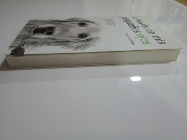 Libro a través de mis pequeños ojos