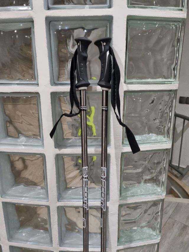 Botas Esquí + Bolsa + Palos.