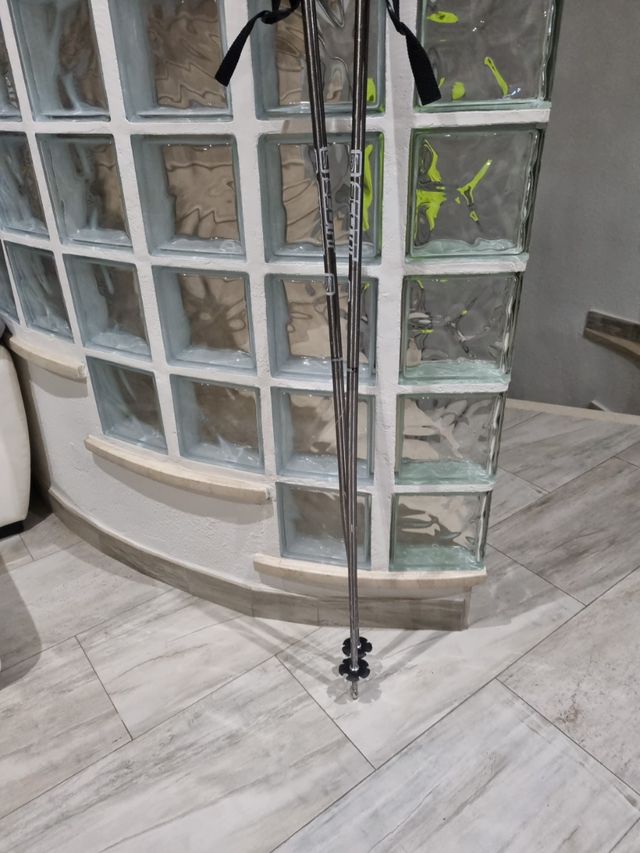 Botas Esquí + Bolsa + Palos.