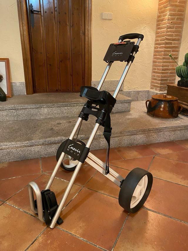 Carrito de golf con Juego de hierros y drive 