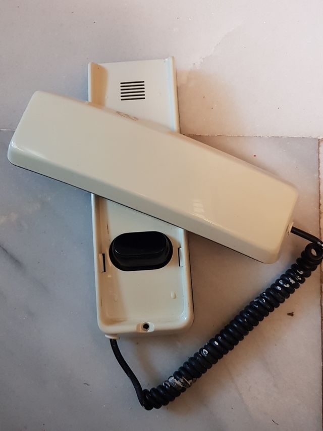 Portero electrónico.