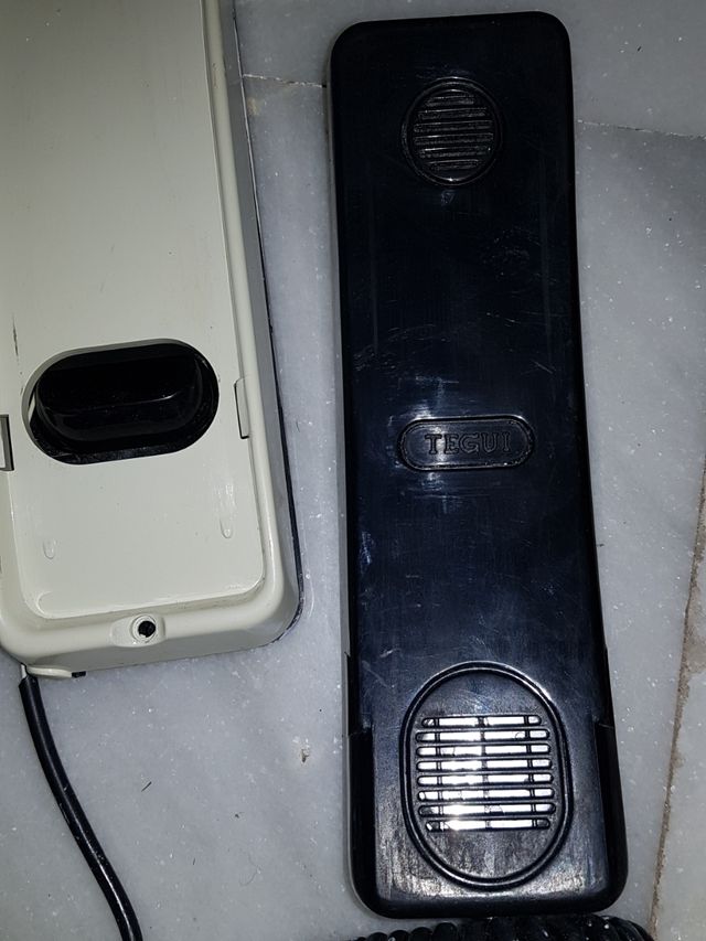 Portero electrónico.