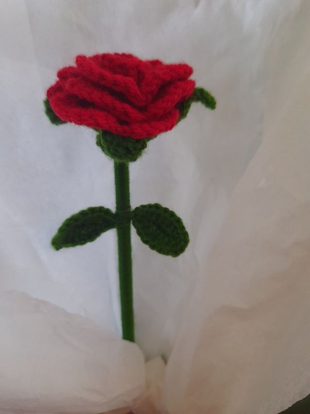 LE ROSE SONO UN REGALO IDEALE