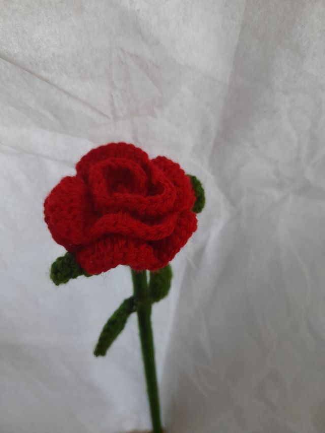 LE ROSE SONO UN REGALO IDEALE