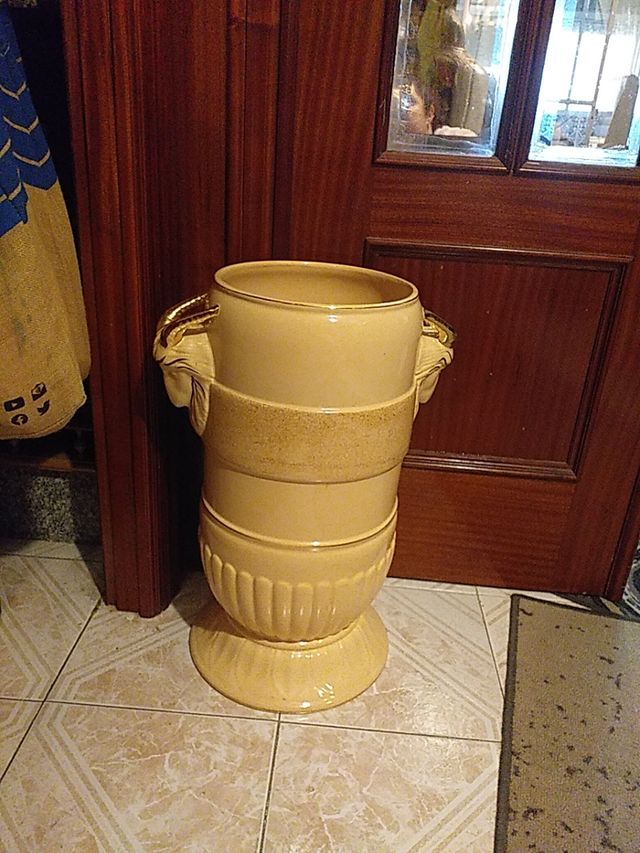 Paragúero precioso de Entrada