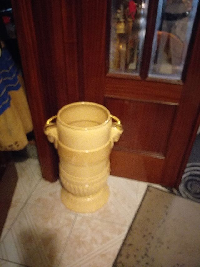 Paragúero precioso de Entrada