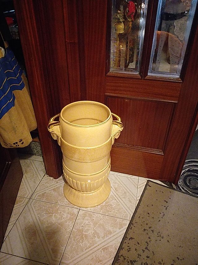 Paragúero precioso de Entrada