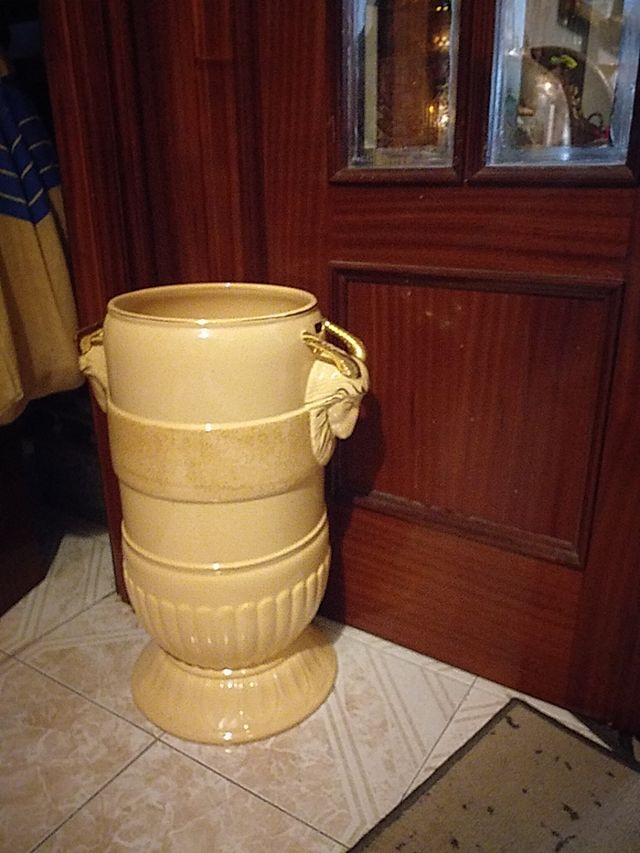 Paragúero precioso de Entrada