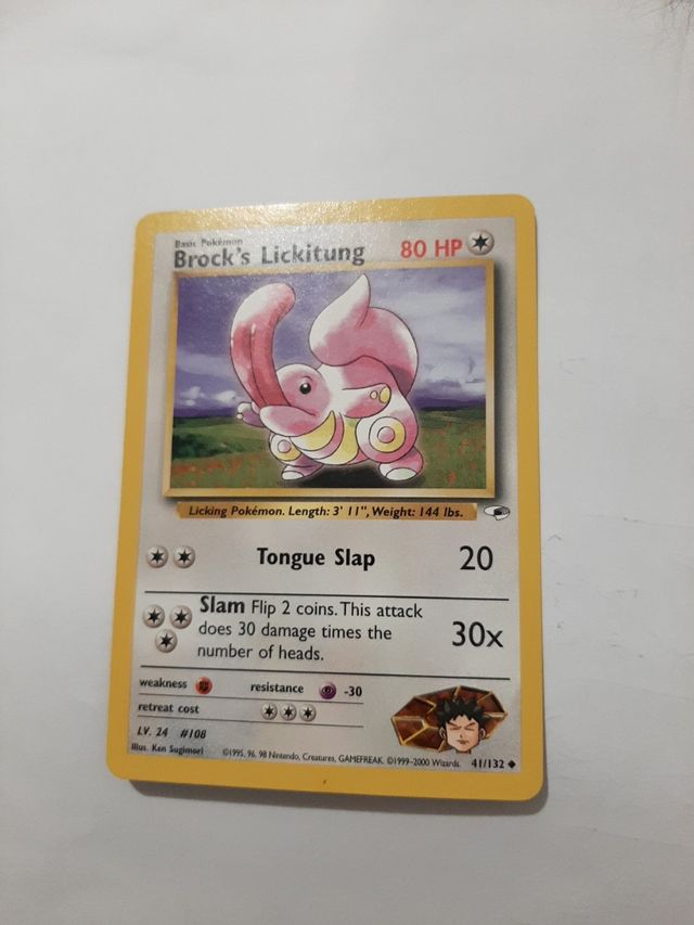 Brock's Lichitung ING Pokemon