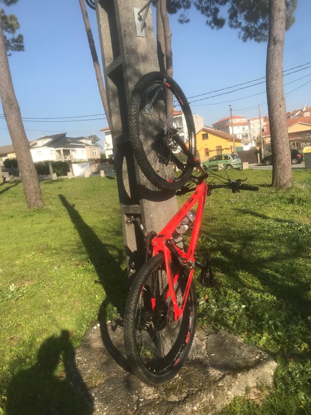 Bh Ultimate RC. Carbono 29  2019