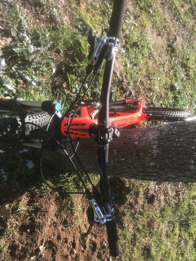 Bh Ultimate RC. Carbono 29  2019