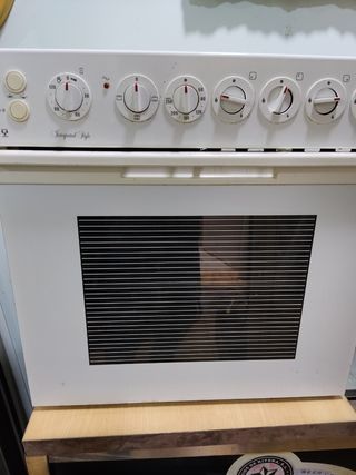 Horno eléctrico de segunda mano en Alicante en WALLAPOP