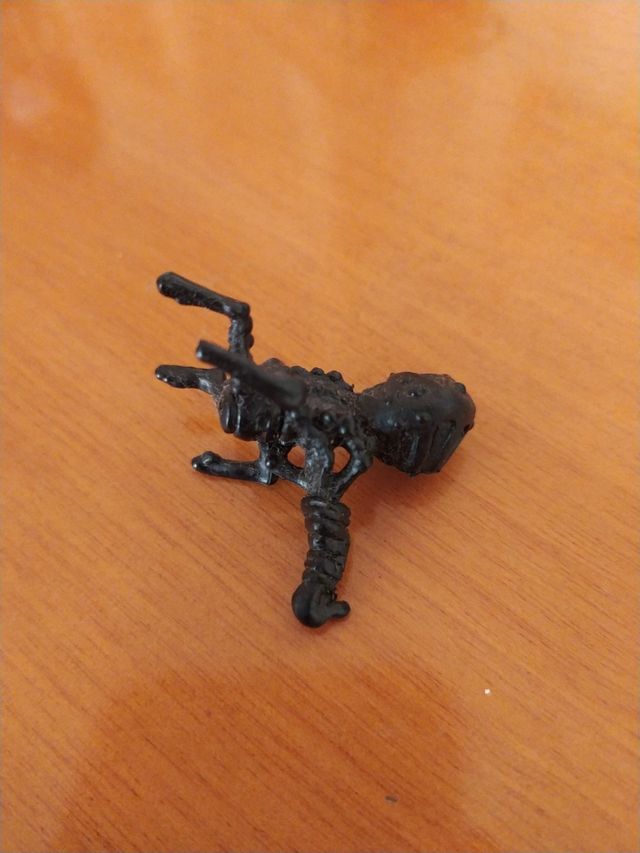 Skeleton Warriors Aracula