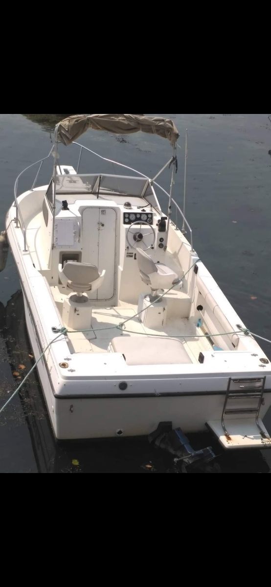 barco campion explorer