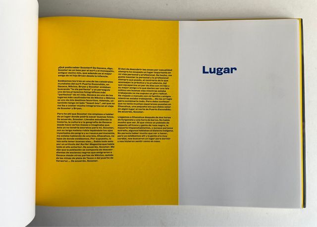 ANIMA DIVISA David Allan HARVEY