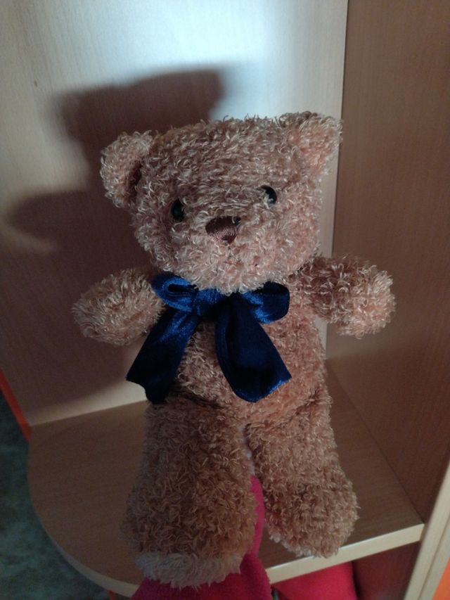 Osito de peluche giñol