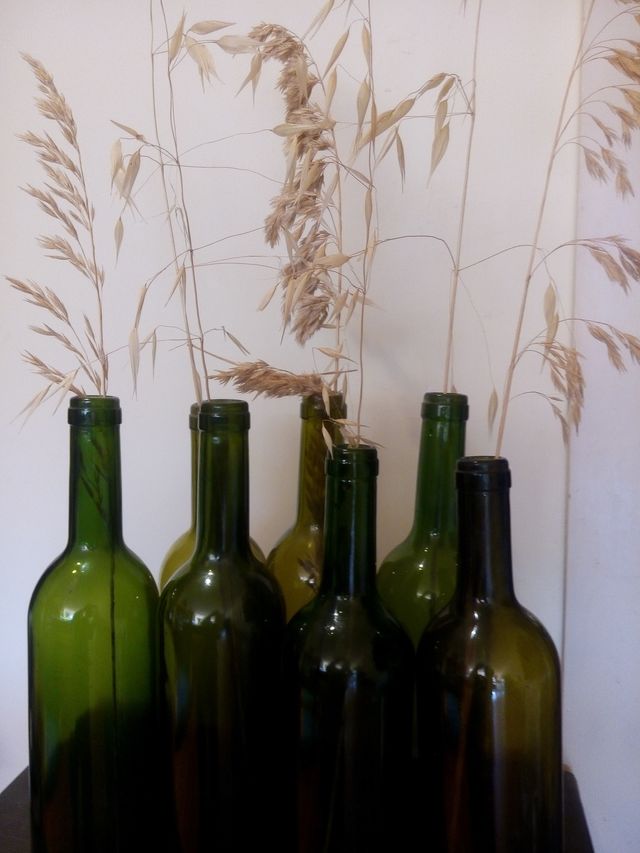 LOTE Botellas cristal RECICLA