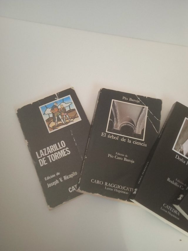 Lote libros (cátedra)