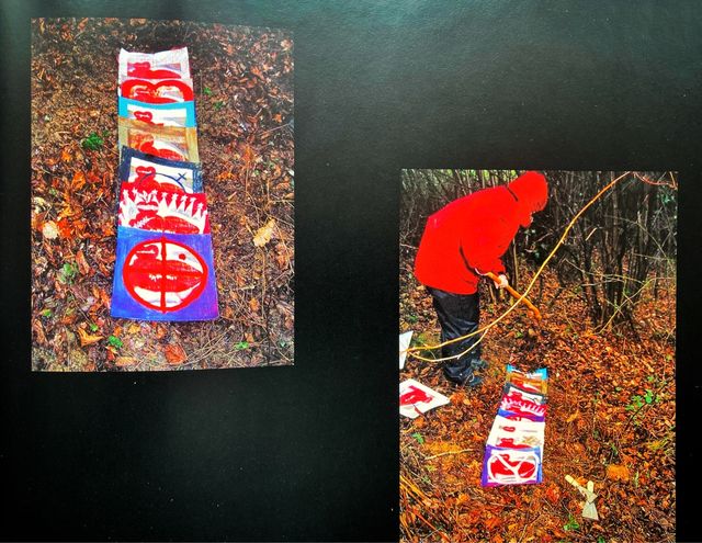 LIBRO AS QUATRO ESTAÇOES DE CHRISTINA OITICICA