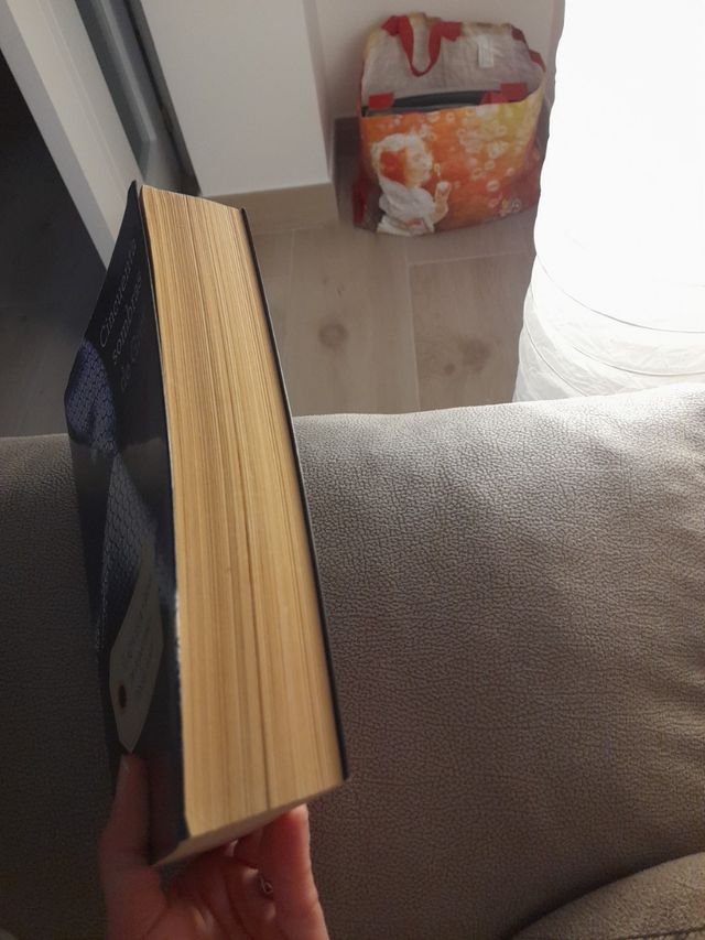 cincuenta sombras de grey