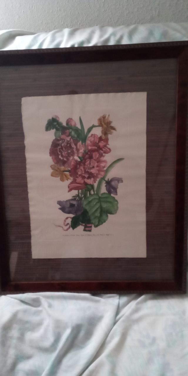 CUADROS GRABADOS BOTANICO