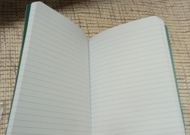 Lote 3 cuadernos Pukka