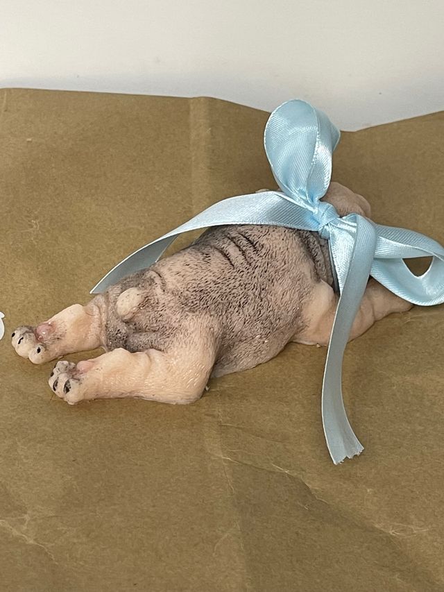 Reborn silicona platino 13,5 cm