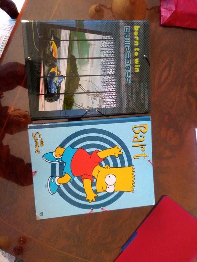 Carpetas archivadoras.