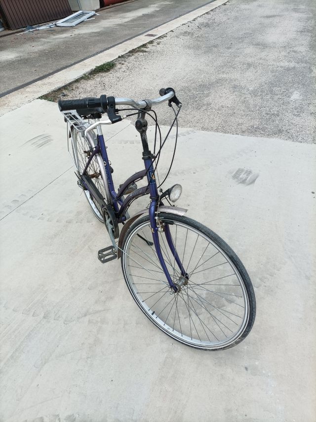 bicicleta holandesa talla grande