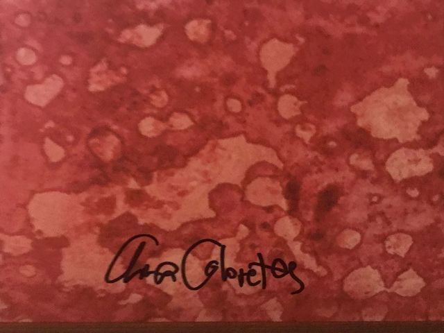 Cuadro Ana Coloretes