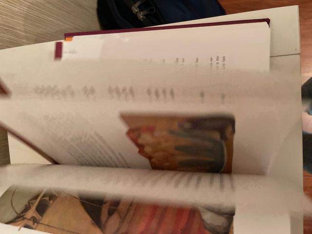 Libro los cuentos de Hans Christian