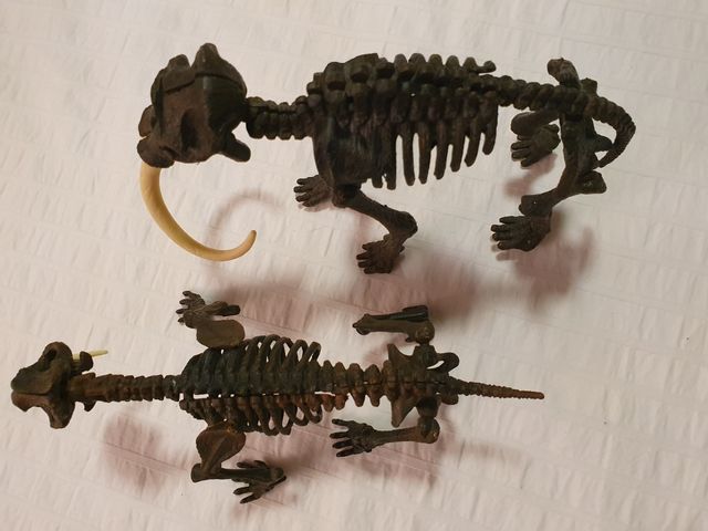 esqueletos para montar.