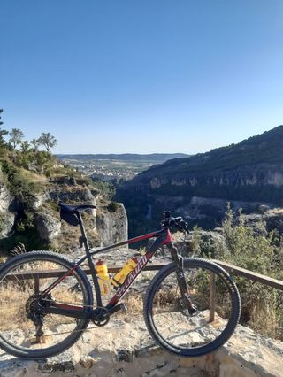 Specialized Stumpjumper Elite Carbon 29 