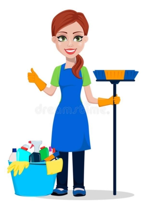 LIMPIEZA PROFESIONAL