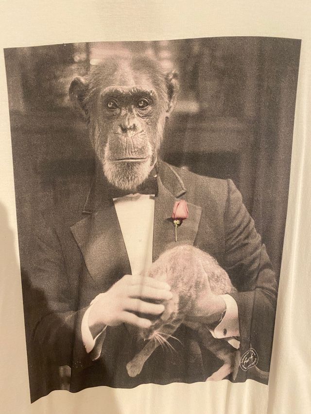 Camiseta ilustración moderna