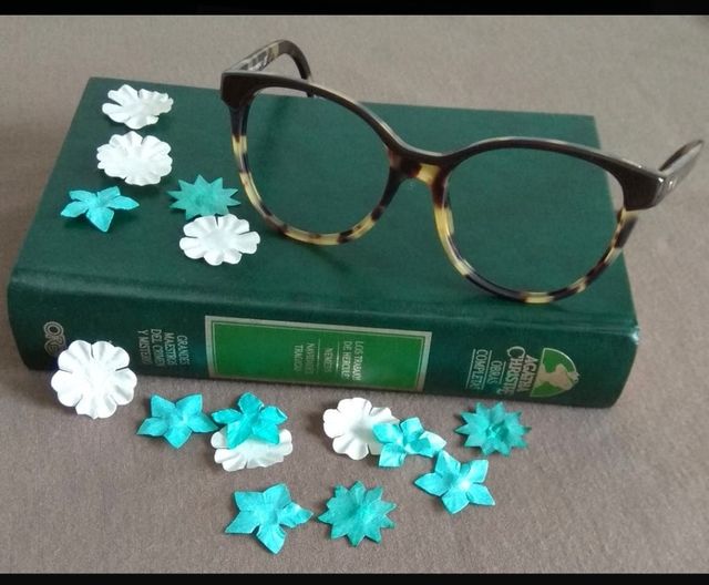 Montura de gafas de Emporio Armani