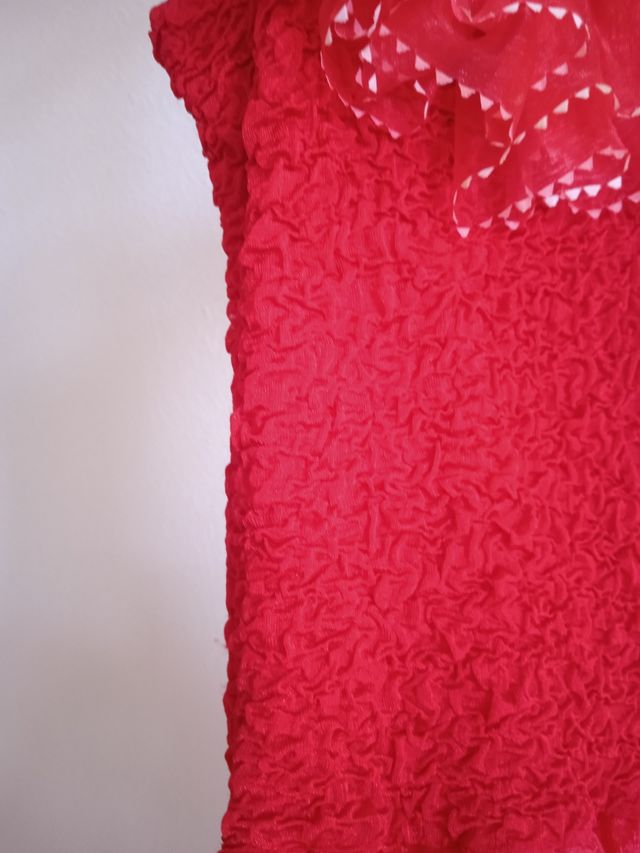 DISFRAZ CARNAVAL FIESTA