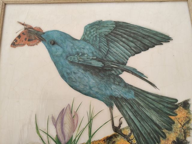 Cuadro lámina enmarcada